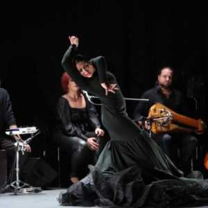 Le Flamenco à l’honneur