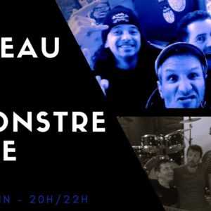 CONCERT MARTEAU + LE MONSTRE JAUNE AU WATT