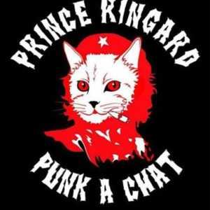 Prince Ringard en concert le 17 Juin !