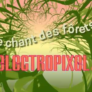 Festival Electropixel 13 – Nantes