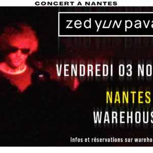 Zed Yun Pavarotti en concert à Nantes • Warehouse