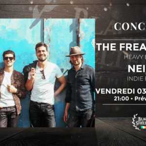 THE FREAKY BUDS • NEIGE • BLACK SHELTER • CARQUEFOU